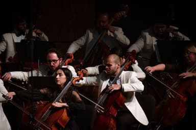 Orchestra musicians performing on stage